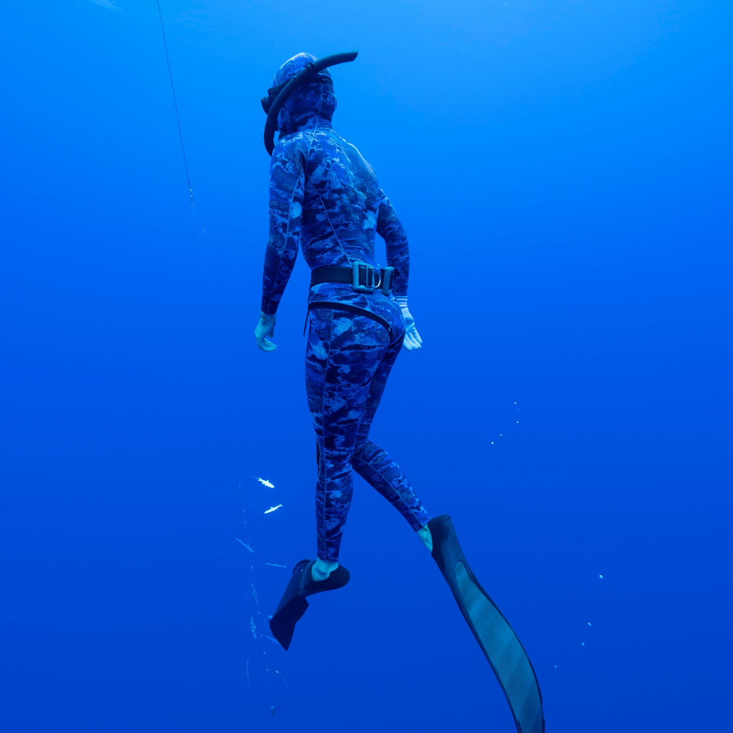 2 PIECES WETSUIT - FREE DIVE/SPEARFISHING