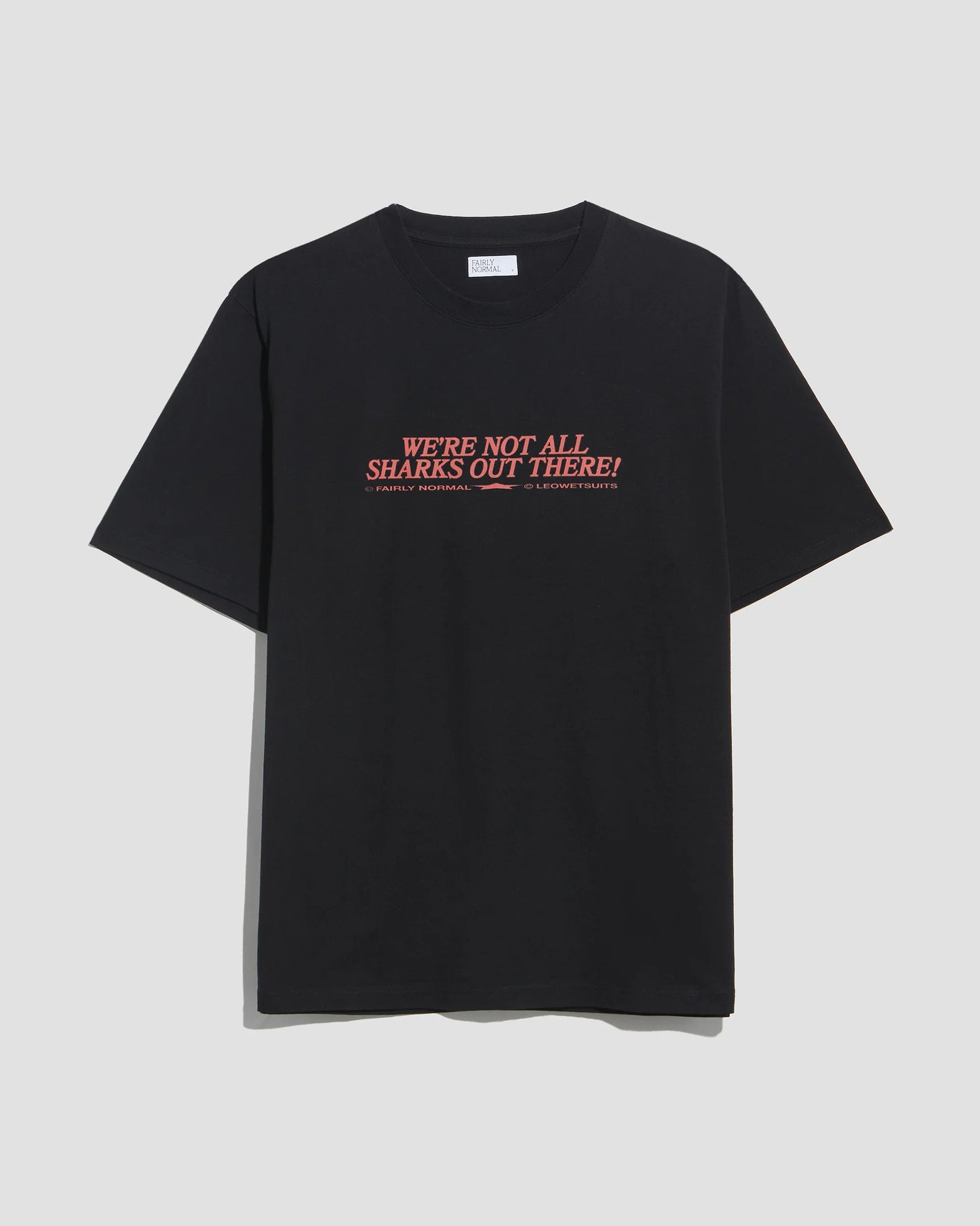 Smile T-shirt with FAIRLY NORMAL (black)