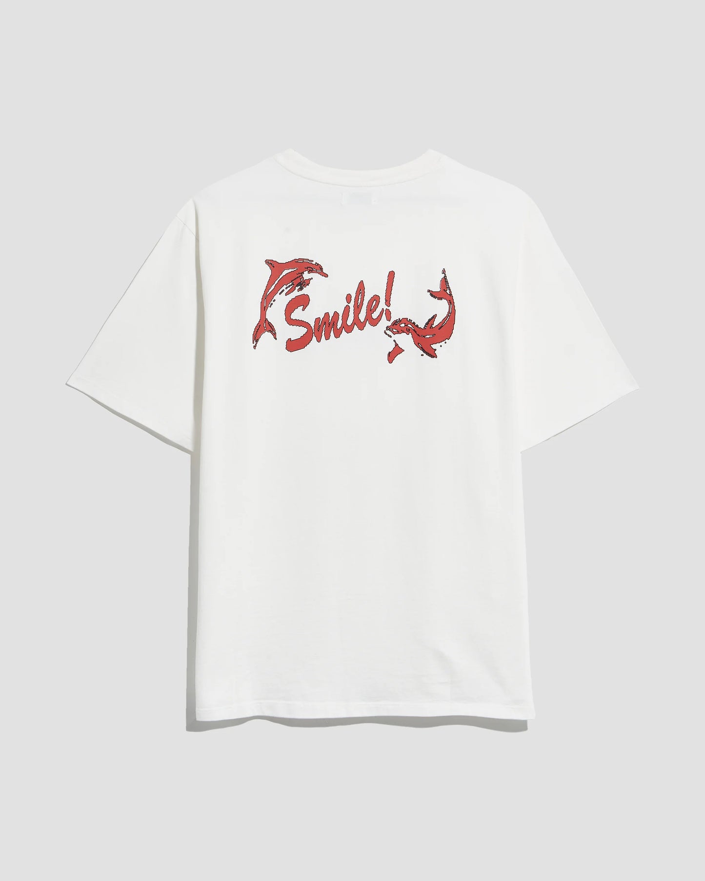 Smile T-shirt with FAIRLY NORMAL (white)