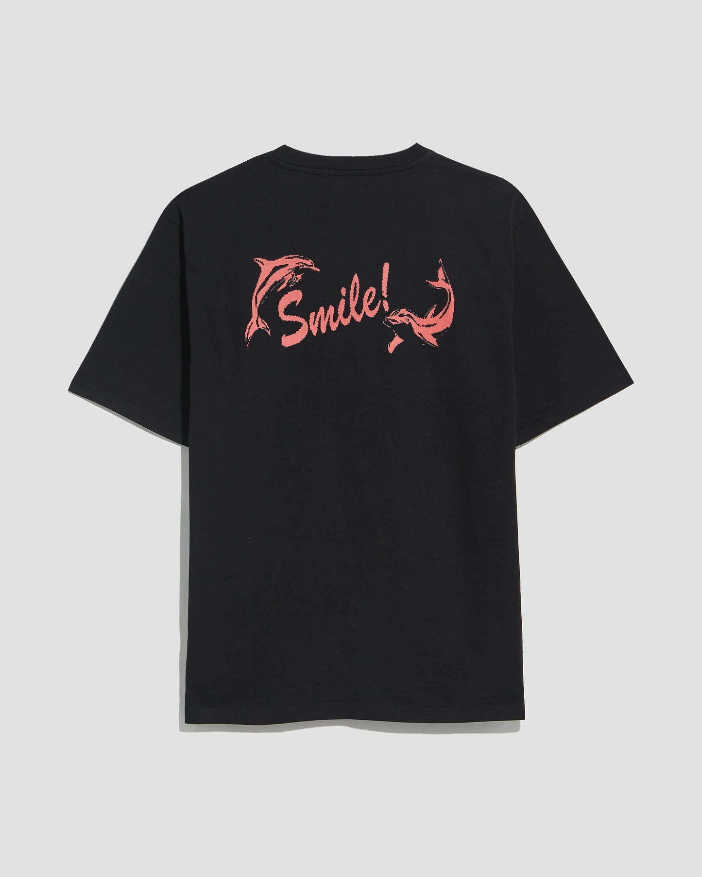 Smile T-shirt with FAIRLY NORMAL (black)